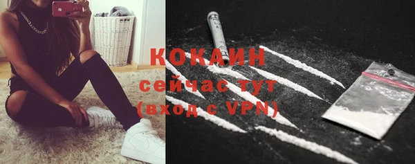тгк Белокуриха