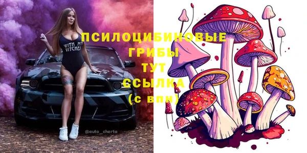 прущий лед Беломорск