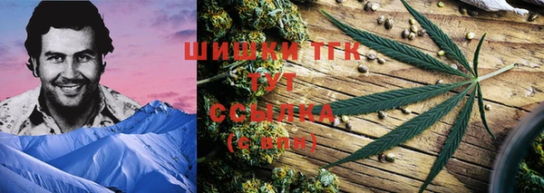 тгк Белокуриха