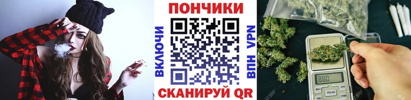 Купить где Кудрово Конопля ГИДРОПОН